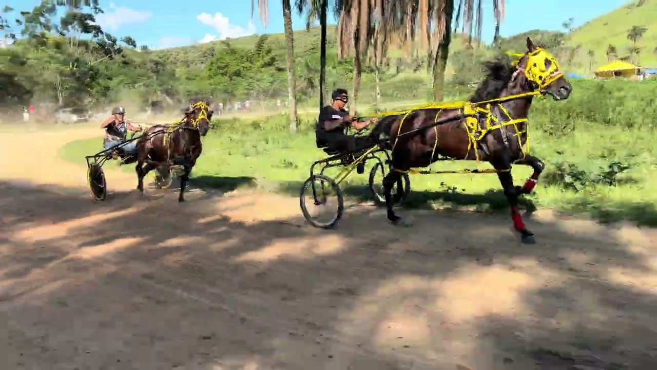 1º Espartano (Desclassificado) 2.14,46; 2º Pepe 2.16,59