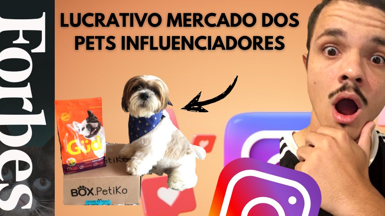 Pet influencers: conheça o mercado que conquistou a internet