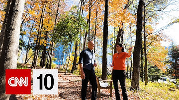 The science behind fall