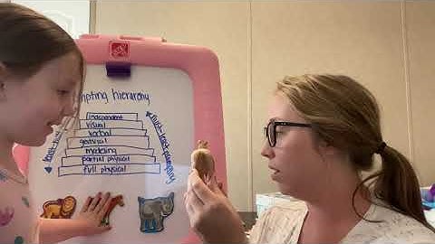 SPCE 683 prompting hierarchy