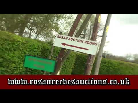 Rosan Reeves Auction TV Advert