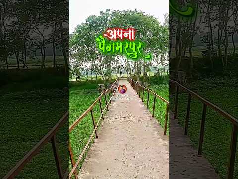 📍 पैगंबरपुर#Paigambarpur #TravelIndia #ExplorePage #MiniVlog #HiddenGem