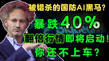 被错杀的国防AI黑马？暴跌40%，翻倍行情即将启动！错过后悔一辈子！BBAI,PLTR,NVDA,META,TSLA#美股 #国防 #ai #投资