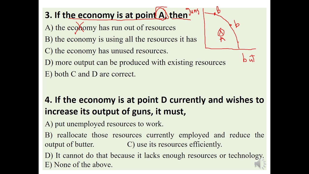 microeconomics assignment questions and answers