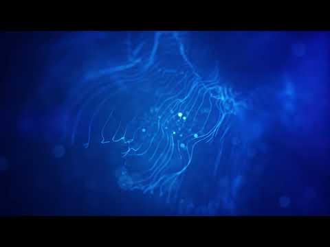Footage Trapcode Mir Blue  | Full HD - Loop 5 min