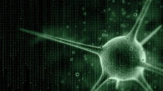 Теория избранности евреев и ДНК-генеалогия Теория избранности евреев и ДНК-генеалогия
