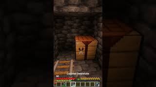 daily minecraft secrets