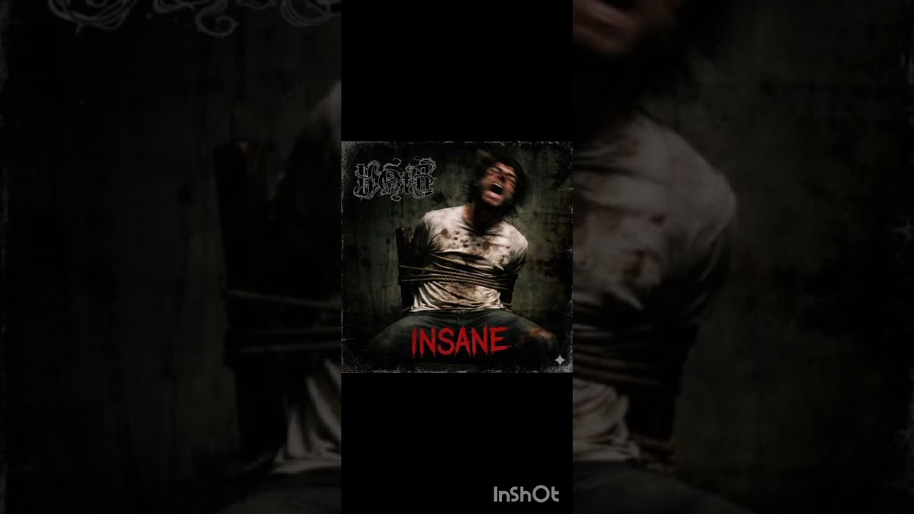 Watch Void - Insane on YouTube Watch Void - Insane on YouTube