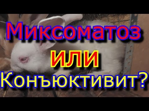 Видео: Гоблен - специална тъкан