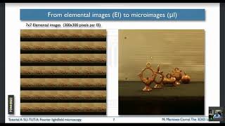 Tutorial A Fourier Lightfield Microscopy