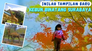 KEBUN BINATANG SURABAYA ‼️ Review Terbaru KBS Surabaya