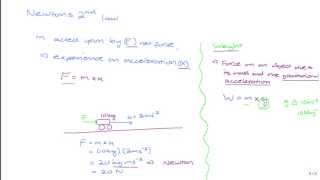 CSEC Physics: Force