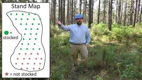Regeneration Surveys - SFA Silviculture Lab (FORS 3347)