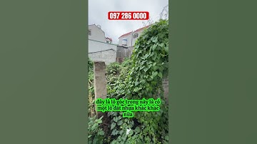 Đất Đa Tốn Gia Lâm ô tô ra vào chỉ hơn 4 đồng lô góc đẹp trung tâm xã gần ngay Vin #datgialam