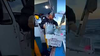 Esse Homem Teve Uma Atitude Linda Com A Lagosta! #curioso #incrível #interessante