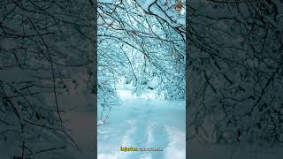 Dyatlov Pass: The Dark Winter Expedition's Abandoned Tent Snow on the Frozen Snowy Mountain