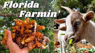 Living on a Farm in Florida | Organic Farming and Seasonal Healthy Eating