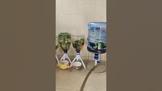 Kreatif botol bekas jadi aquarium yang cantik #shorts