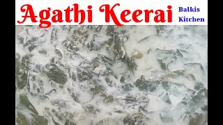 Avathi Kirai Balkis Kitchen agathi keerai recipe agathi keerai kootu agathi keerai sambar in tamil