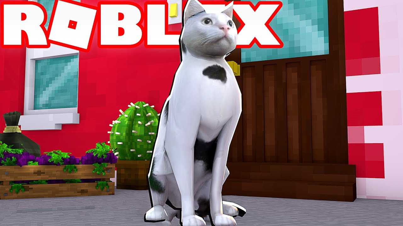 Кошку roblox. РОБЛОКС питомцы. РОБЛОКС кошка. РОБЛОКС симулятор кошки. РОБЛОКС симулятор питомцев.