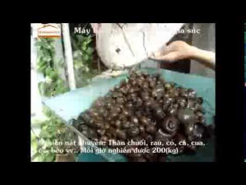 Video Máy nghiền thức ăn chăn nuôi đa năng (may nghien thuc... - youtube