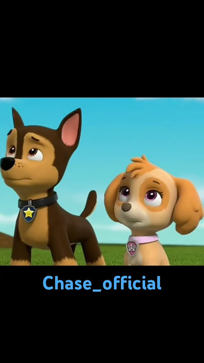 Paw Patrol ChasexSkye| cómo hacer para no quererte 🐾🐾🐾🐾💖💙