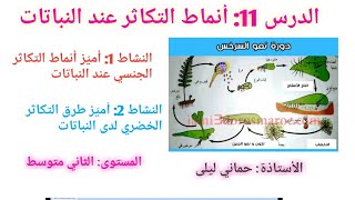 الدرس 11: أنماط التكاثر عند النباتات