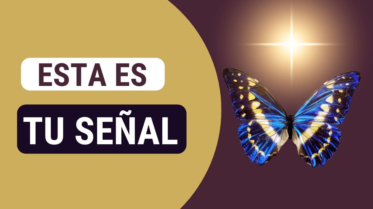 💫 ¿Buscas una señal? Esta meditación es la respuesta que tu alma estaba ...