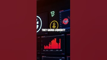 Reality Check Bets A Practical Crypto Playbook