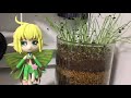 ロティエルのフィギュア