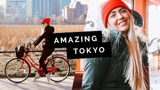 TOKYO Travel Guide: Shinjuku & Ueno 🇯🇵