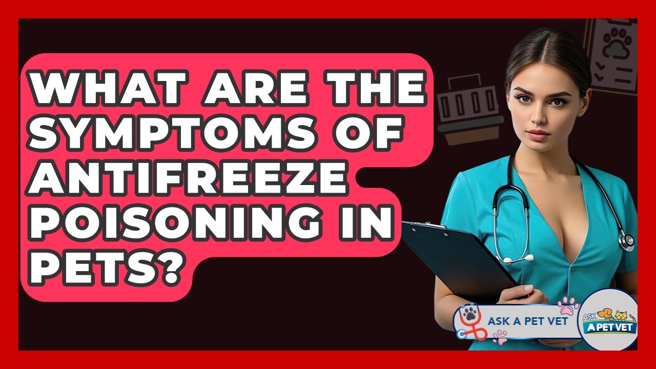 What Are The Symptoms Of Antifreeze Poisoning In Pets? - Ask A Pet Vet