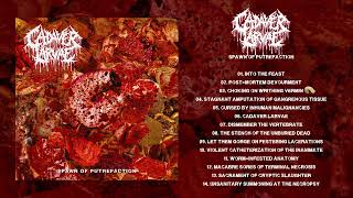 Cadaver Larvae - Spawn Of Putrefaction (FULL ALBUM) (2026) Death Metal / Deathgrind