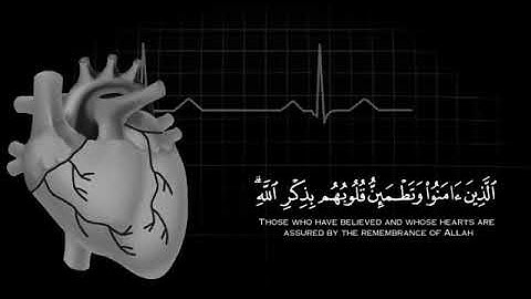 القران الكريم _ سورة الرعد _ القارئ عبدالرحمن