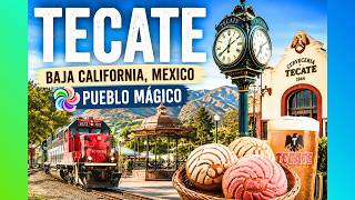 4K Tecate, Baja California, Mexico | More Than Just Beer