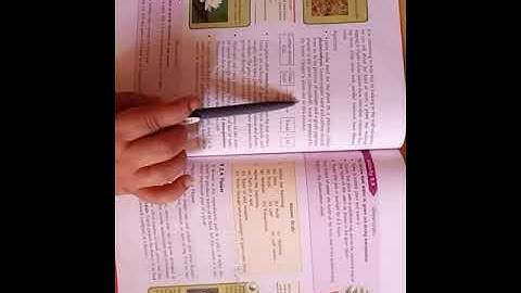 Class-6 Sub-Sci Ch-9 Plants-Form and Function(Part-4)