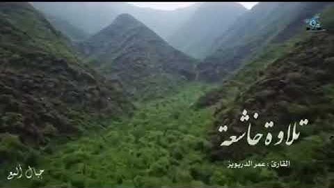 تلاوه خاشعه القارئ عمر الدريويز " الله خالق كل شي "