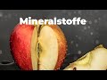 Was sind mineralstoffe