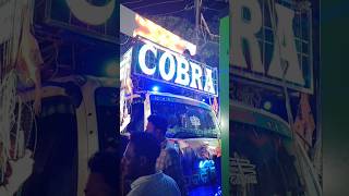 odia new dj song 2026//dj cobra//#djstatus #djsong