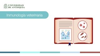 De linfa circulacion