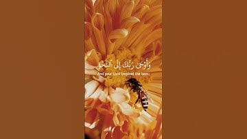(وأوحى ربك الى النحل) #عبدالباسط_عبدالصمد #اكسبلور #قرآن #قران_كريم #قران #تلاوات #explore