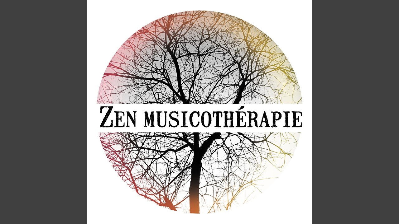 Meditation Transcendantale Nature Academie Shazam