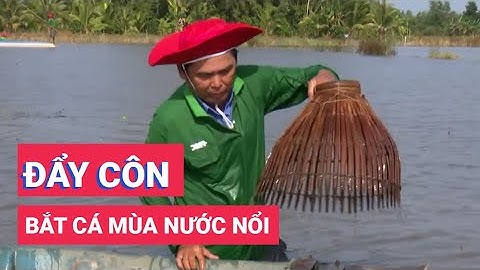 Độc đáo hội thi đẩy côn bắt cá mùa nước nổi