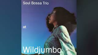 [1996] Soul Bossa Trio – At Wildjumbo [Full Album]
