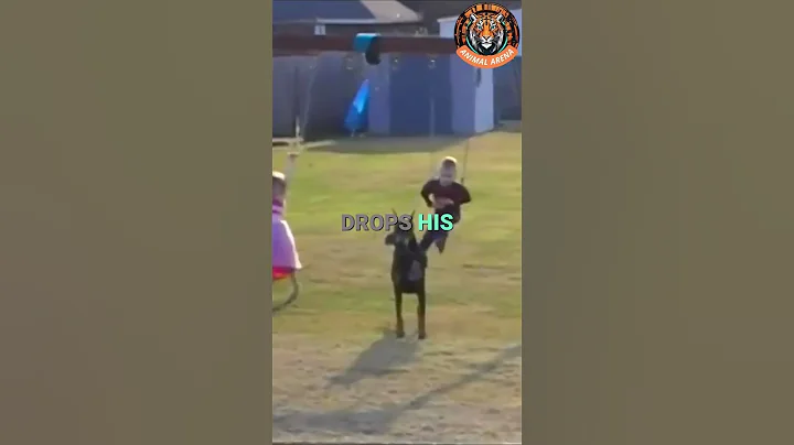 🔒 Why the Doberman is the Ultimate Guardian | Loyalty Like No Other!