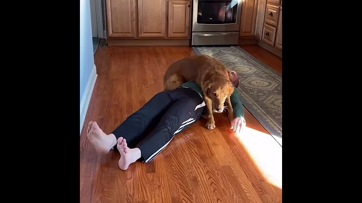 Seizure Assistance Service Dog Task