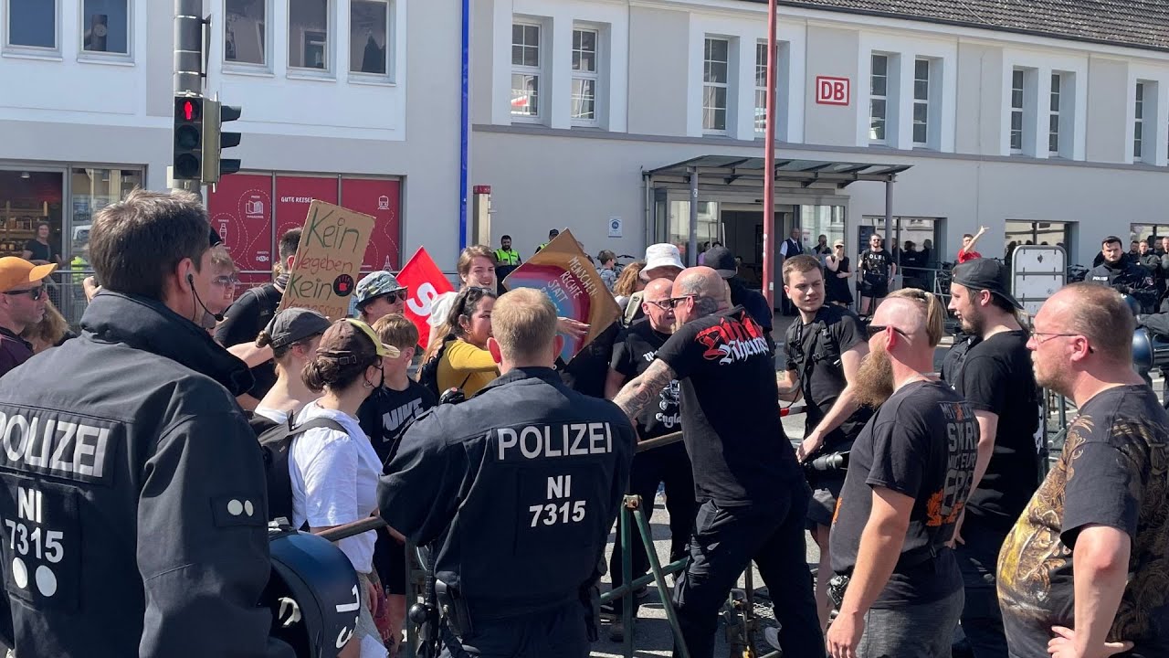 Der Weg eines Hengstes am Landgestüt Celle - Youngster, S-Sieger und Ruhestandspferde