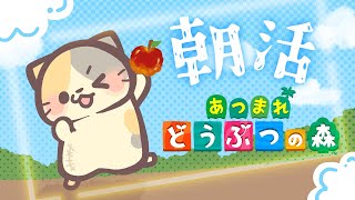 ギビング～！サンクスギビング！🌴まぐろdeソルト島🌊【あつまれ！どうぶつの森/むぅたま VTuber】