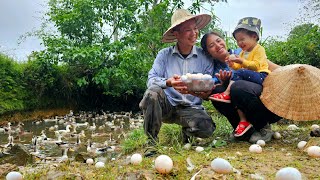 ไดอารี่รายวัน - ทั้งครอบครัวเก็บไข่เป็ดมาขายในแต่ละวันนำสินค้าออกสู่ตลาด