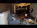 PASSED OUT PRANK ON TODDLER